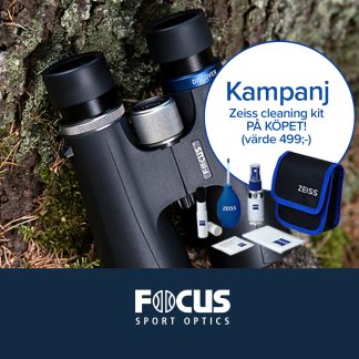 Focus Discover 8x42